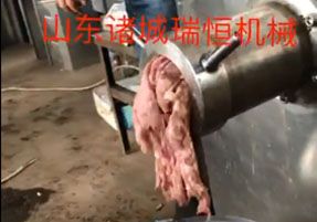 絞肉機視頻瑞恒機械